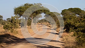 Tarangire National Park landscape, Tanzania, Africa