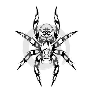 Tarantula. Exotic pets. Halloween. Spider or arachnid species. Dangerous insects