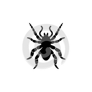 Tarantula icon. Elements of insect icon. Premium quality graphic design. Signs and symbol collection icon for websites, web design