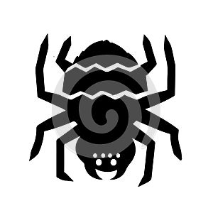 Tarantula Icon Vector