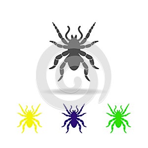 tarantula multicolored icon. Elements of insect multicolored icon. Signs and symbol collection icon can be used for web, logo, mob