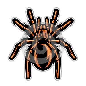 Tarantula spider mascot