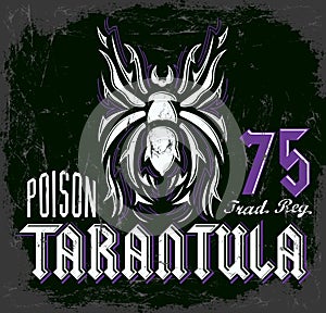 Tarantula vintage lettering design