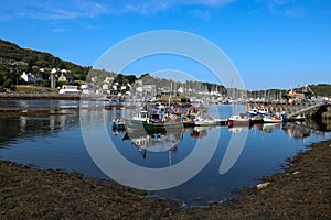 Tarbert Harbour Argyll and Bute in Scotland photo
