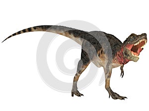 Tarbosaurus