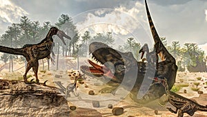 Tarbosaurus attacked by velociraptor dinosaurs -