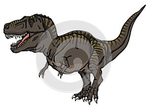 Tarbosaurus