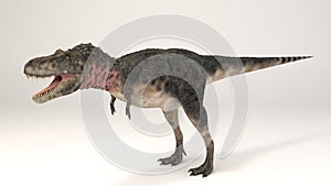 Tarbosaurus-Dinosaur