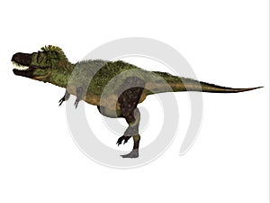 Tarbosaurus Feathered Dinosaur