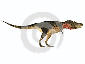 Tarbosaurus Side Profile