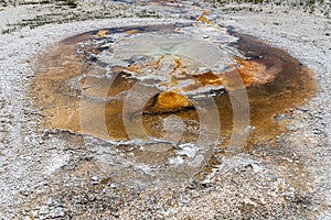 Tardy Geyser