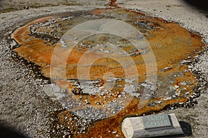 Tardy Geyser, Yellowstone National Park, Wyoming