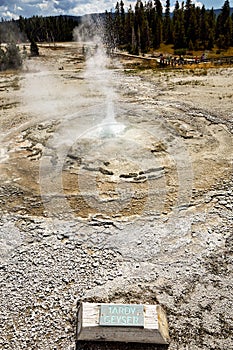 Tardy geyser at the Yellowstone National Park. Wyoming. USA.