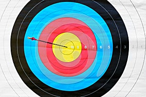 Target archery: hit the mark (1 arrow)