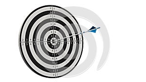Target with a arrow - Target with a bow arros in the middle of the target isolated