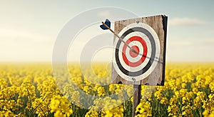Target Arrow in a Yellow Flower Field: Rustic, Serene Image photo