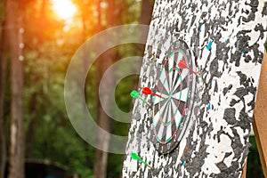 Target with darts outdoors