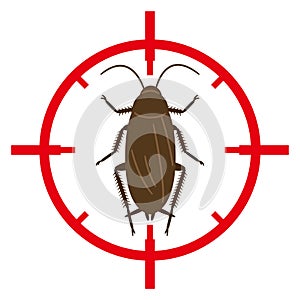 Target mark aimed at cockroaches