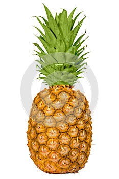 Target pineapple