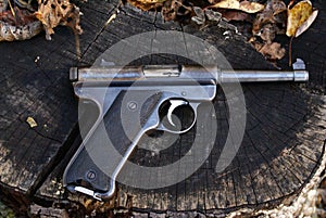 Target Pistol