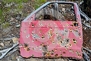 Target Practice Car Door