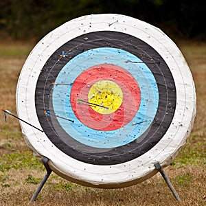 Target with random arrows