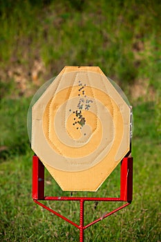 Target shooting IPSC competition pistol games