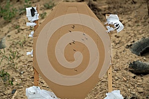 target at the shooting range. target with bullet holes