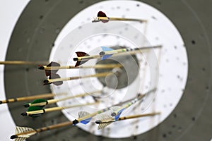 Targets at a bow shooting range with arrows in them