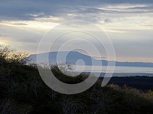 Targus Cove, GalÃ¡pagos