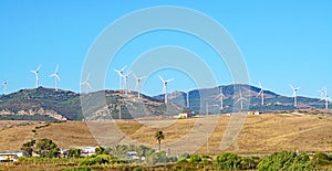 Tarifa in CÃ¡diz and surroundings with wind farm, Andalusia photo