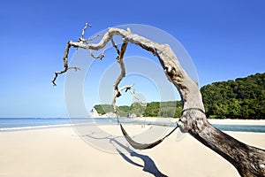 Tarimbang Beach, Sumba, Indonesia