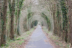 The Tarka Trail UK in winter