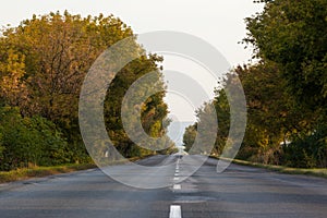 Tarmac country road along trees and against clear sky