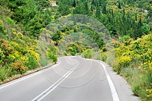 Tarmac road in green hills with flowers