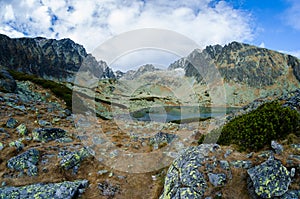 Tarn in High Tatras, Slovakia