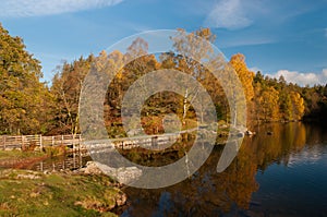 Tarn Hows Autumn colours