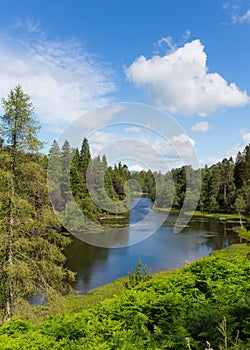 Tarn Hows near Hawkshead Lake District National Park England uk on a beautiful sunny summer day