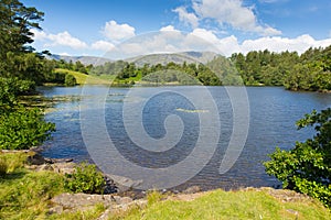 Tarn Hows near Hawkshead Lake District National Park England uk on a beautiful sunny summer day