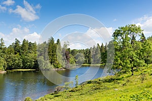 Tarn Hows near Hawkshead Lake District National Park England uk on a beautiful sunny summer day