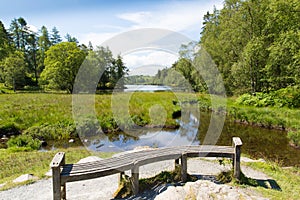 Tarn Hows near Hawkshead Lake District National Park England uk on a beautiful sunny summer day