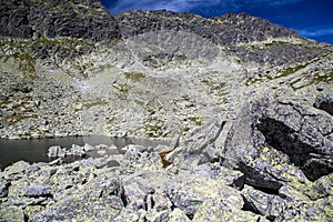 Tarn in mountains