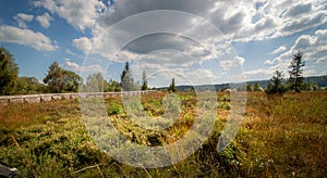 Tarnawa peat bog Bieszczady National Park