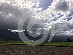 Taro Fields in Hanalei Valley on Kauai Island, Hawaii.