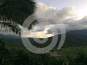 Taro Fields in Hanalei Valley on Kauai Island, Hawaii during Sunset.