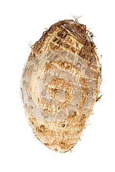 Taro Root