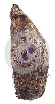 Taro Root Yam Vegetable