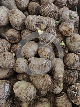 Taro top view on display