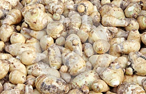 Taro vegetable