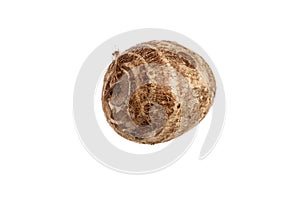 Taroes on a white background